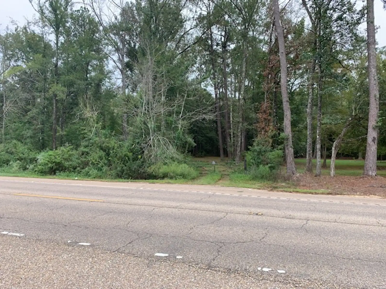 Commercial Land image 1
