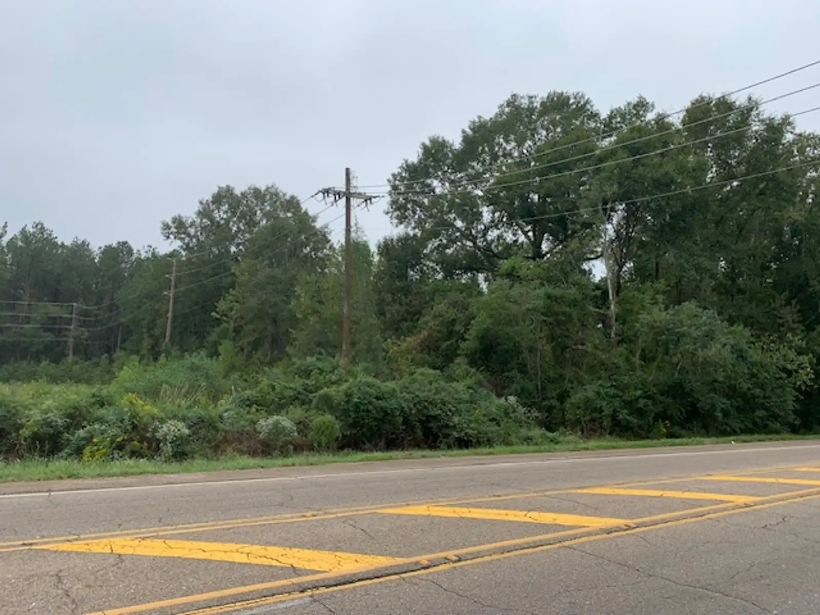 Commercial Land image 7