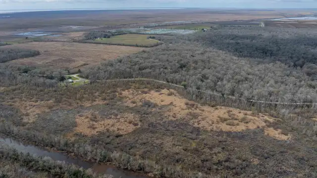 View image 5