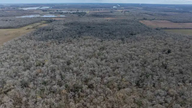 View image 7