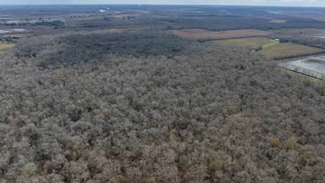 View image 8