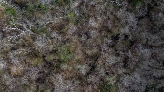 View image 9