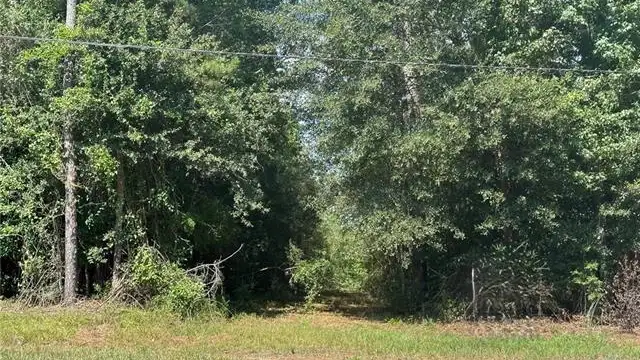 Hwy 40 thumbnail 4