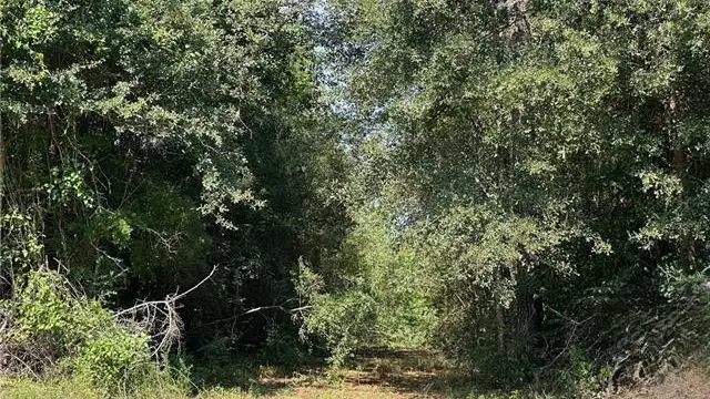 Hwy 40 thumbnail 2
