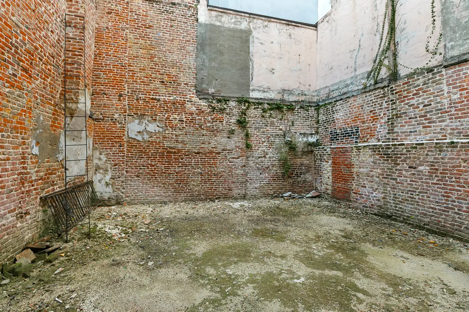 Unique French Quarter Opportunity image 6
