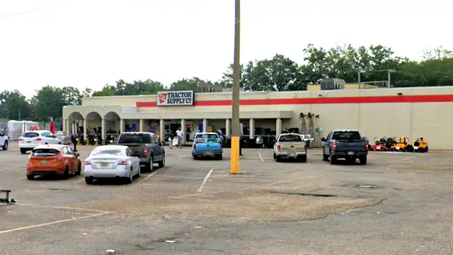 View image 3