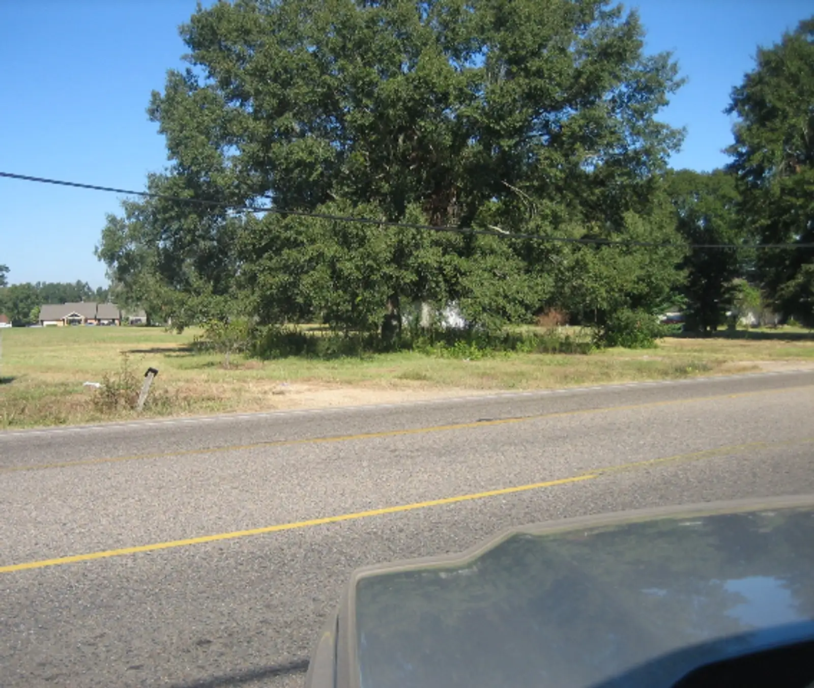 Vacant Land image 5