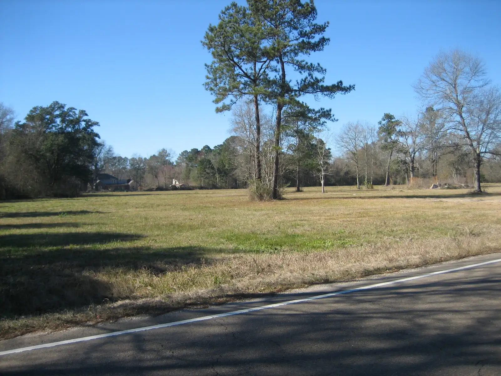 Vacant Land image 27
