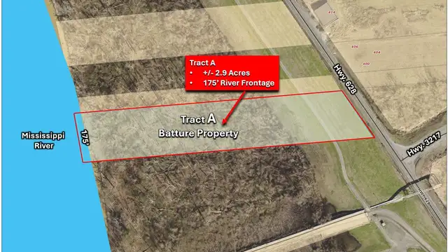 +/- 7.6 total Acres with River Frontage thumbnail 4