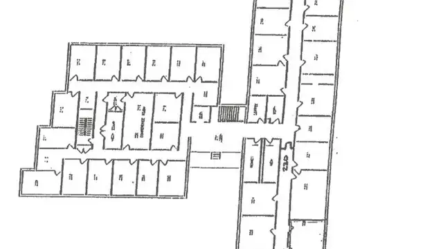 Suite 242 image
