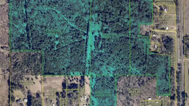 Myrtis Texas Line Rd thumbnail 3