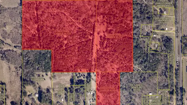Myrtis Texas Line Rd thumbnail 5