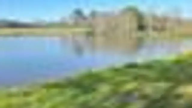 LA-958 thumbnail 2