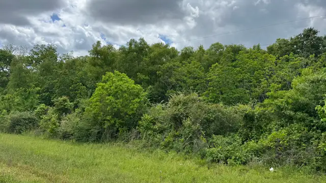 7401 Interstate 49 South Service Rd thumbnail 3