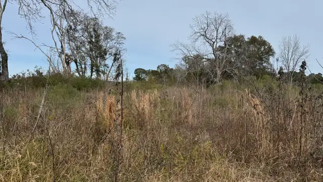 4.63 Acres on Ridge Rd thumbnail 4