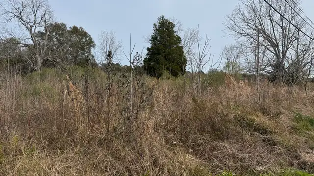 4.63 Acres on Ridge Rd thumbnail 3