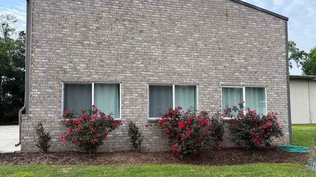 1123 McKaskle Dr thumbnail 2