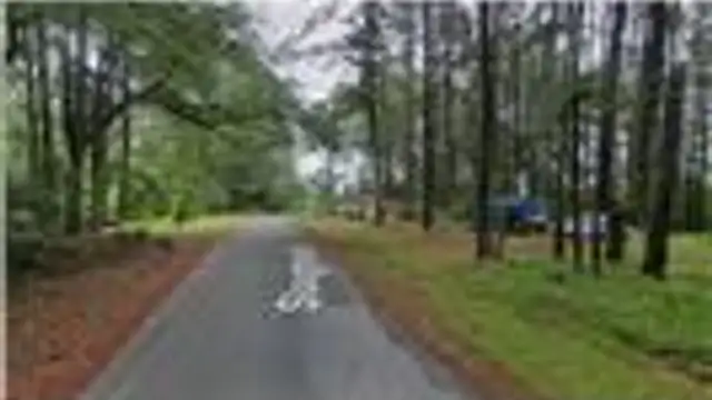 242 Slaughter Rd thumbnail 5