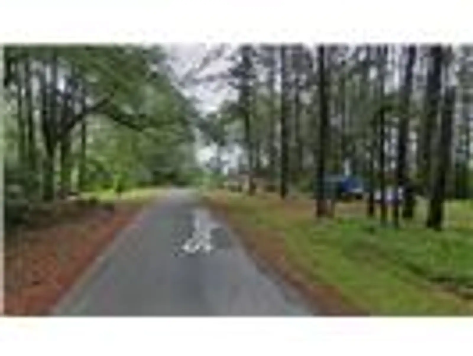 242 Slaughter Rd image 5