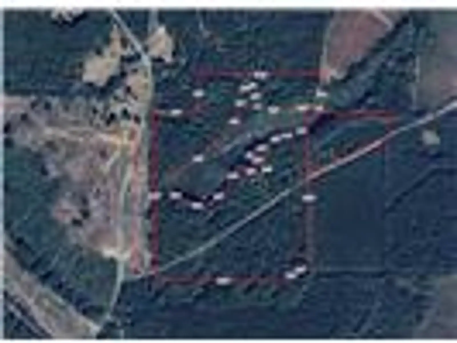 242 Slaughter Rd image 9