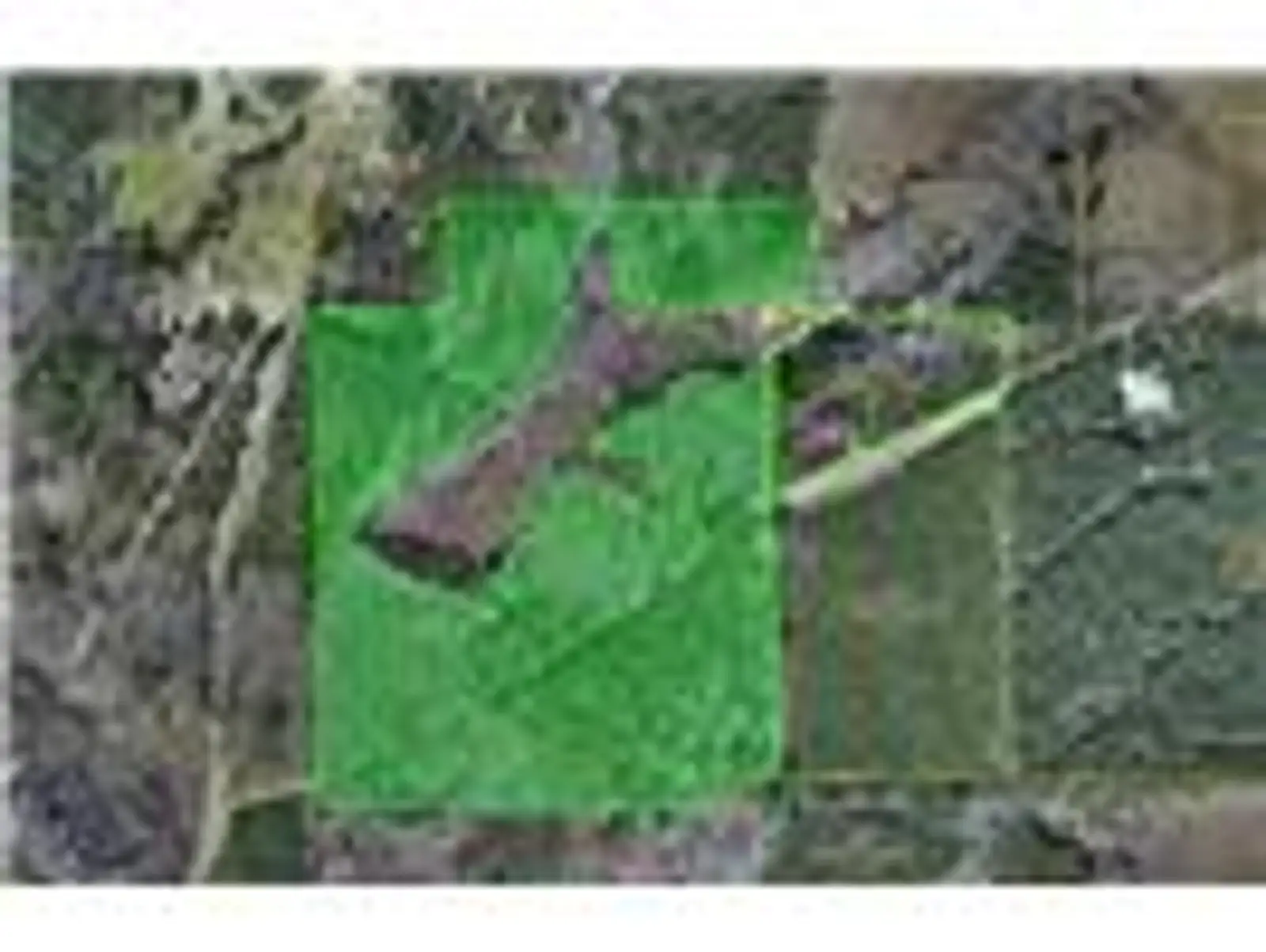 242 Slaughter Rd image 10