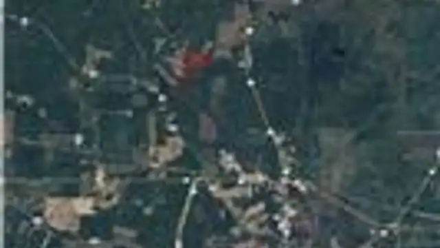 242 Slaughter Rd thumbnail 2