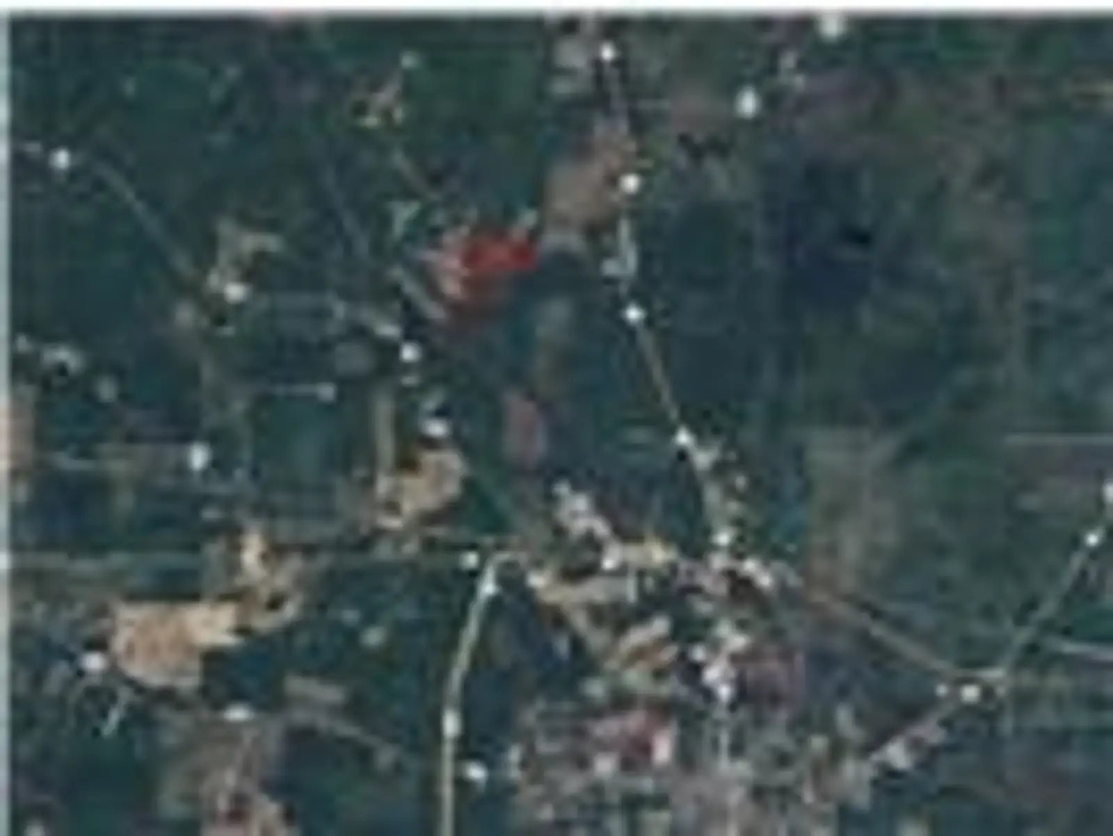 242 Slaughter Rd image 2