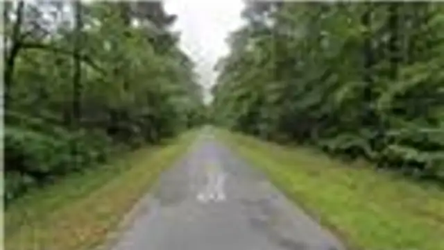 242 Slaughter Rd thumbnail 4