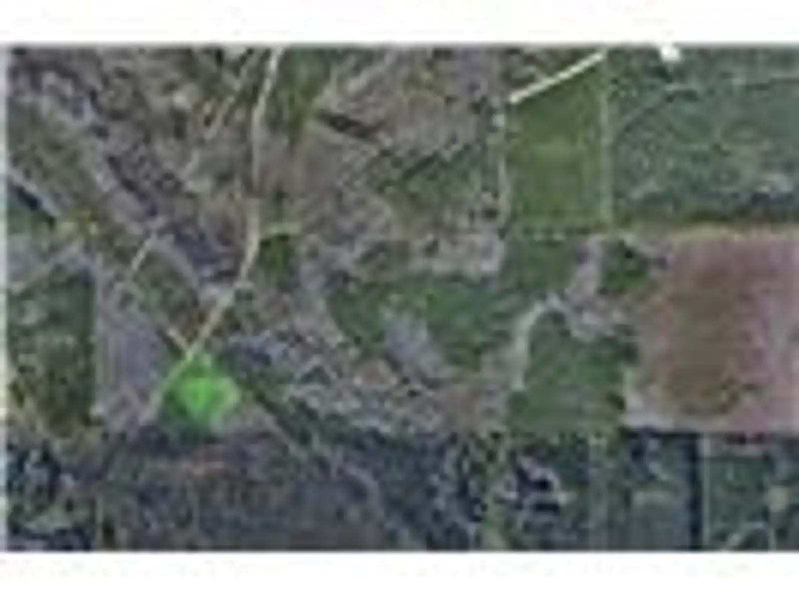 242 Slaughter Rd image 12