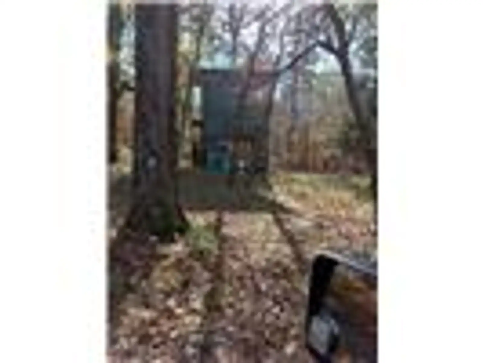 242 Slaughter Rd image 8