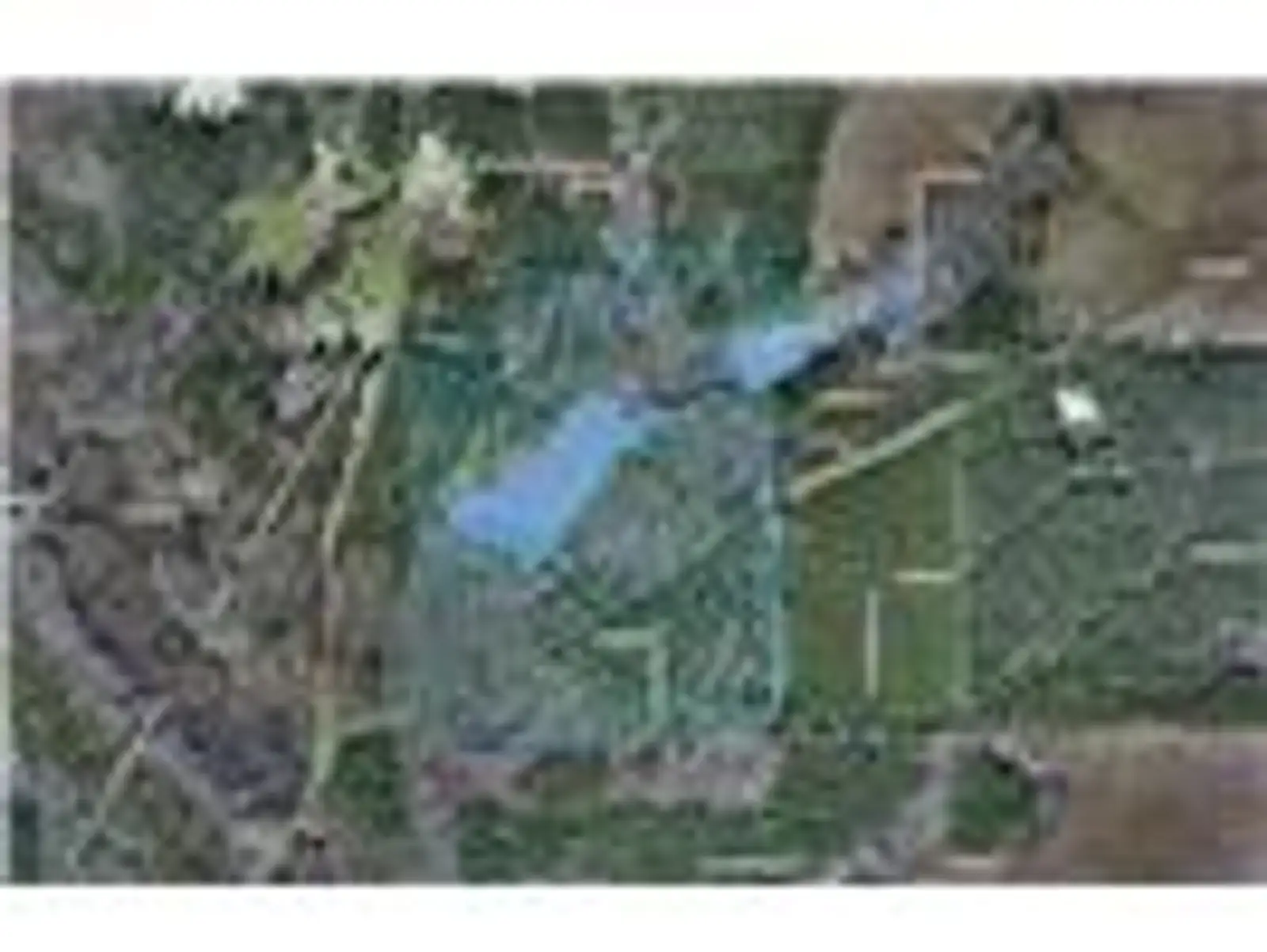 242 Slaughter Rd image 13