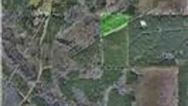 View image 11