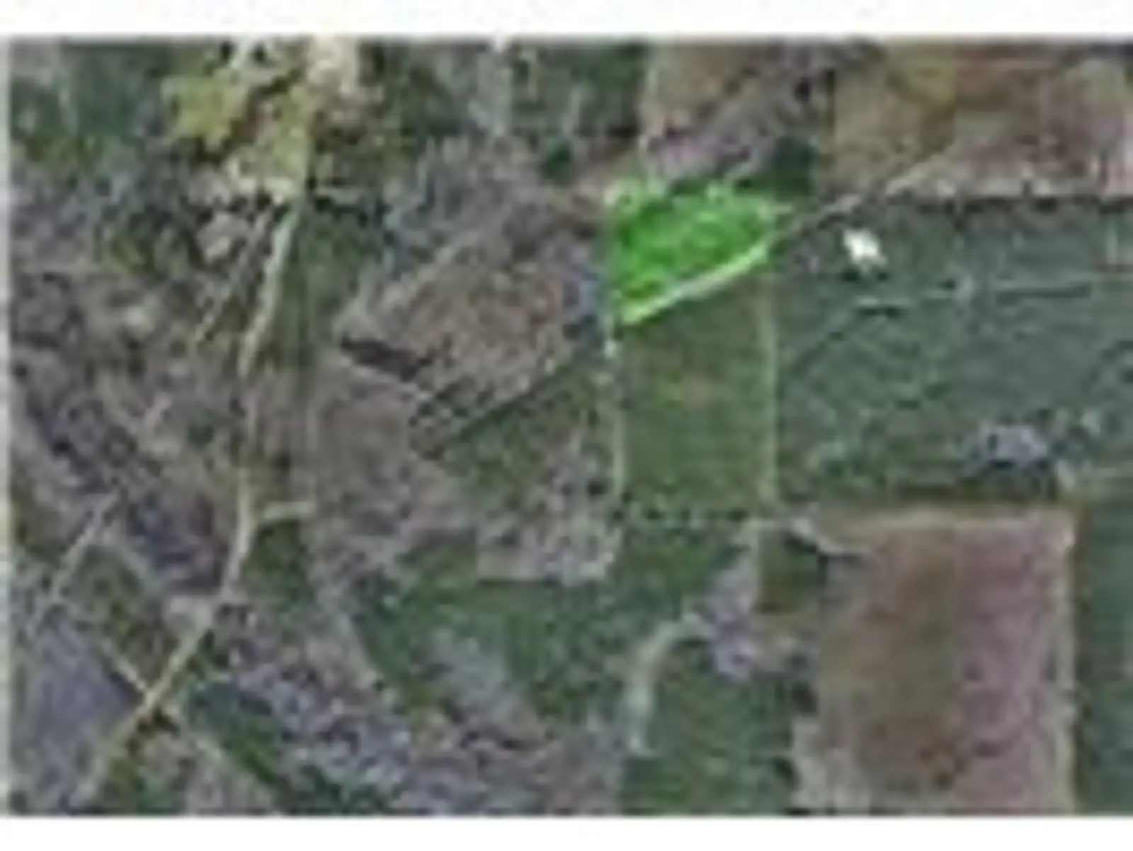 242 Slaughter Rd image 11