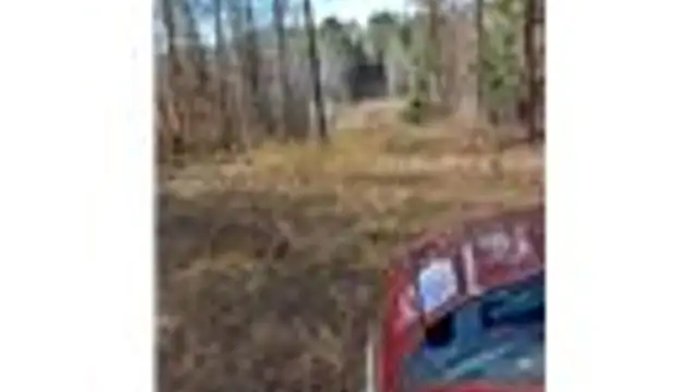 View image 6