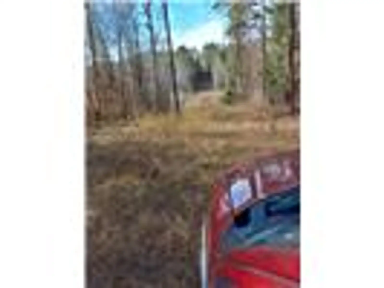 242 Slaughter Rd image 6
