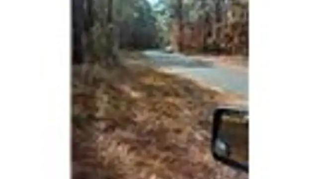 View image 7