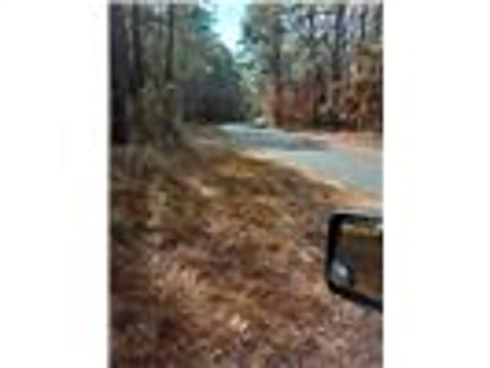 242 Slaughter Rd image 7