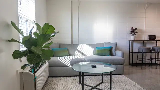 261 Jules Ave thumbnail 5