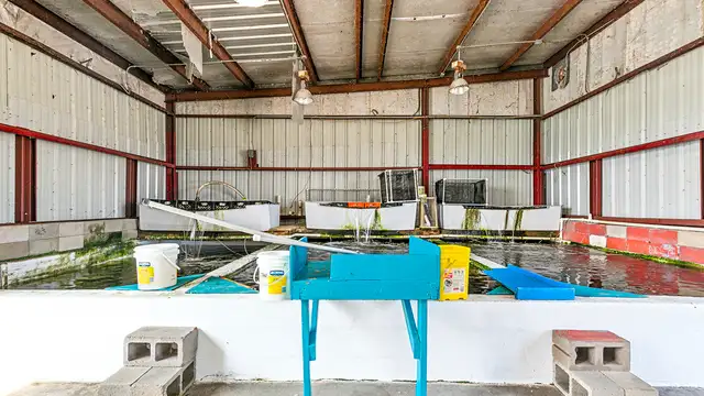Bait Shop, launch, and camp grounds thumbnail 4