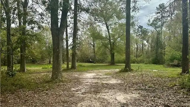 Hwy 190 thumbnail 5