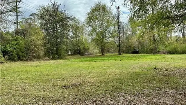 Hwy 190 thumbnail 4