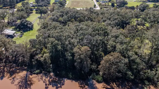 7 acres cleared thumbnail 4
