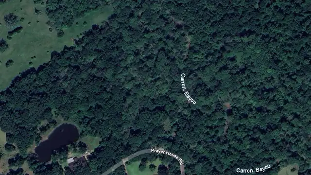 Land for Sale thumbnail 4