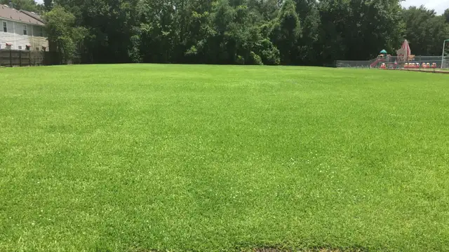Prime C-1  1 acre thumbnail 2