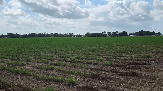 View image 2