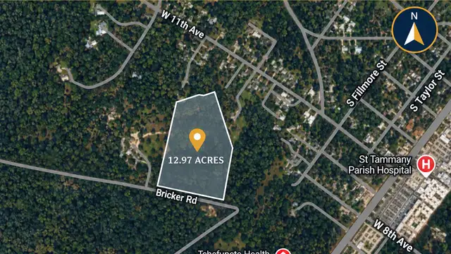 12.97 ACRES ON THE TCHEFUNCTE RIVER thumbnail 4
