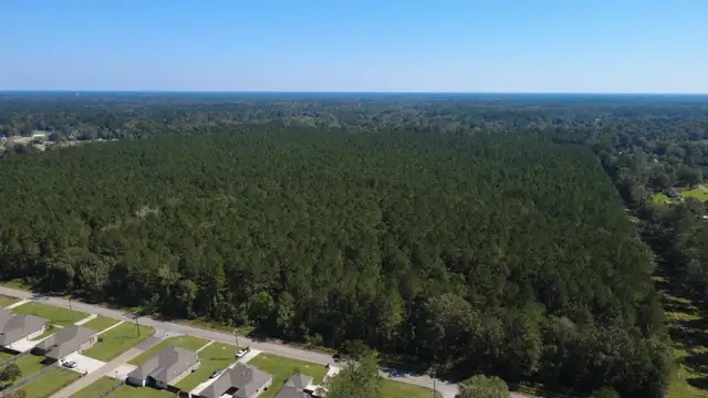 Dunn Rd thumbnail 4