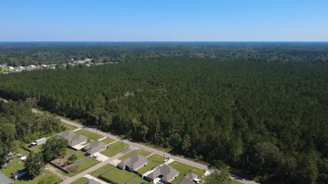 Dunn Rd thumbnail 5