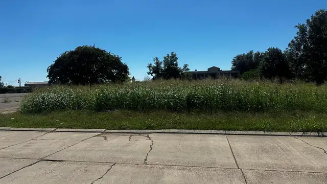.527 acre lot thumbnail 2