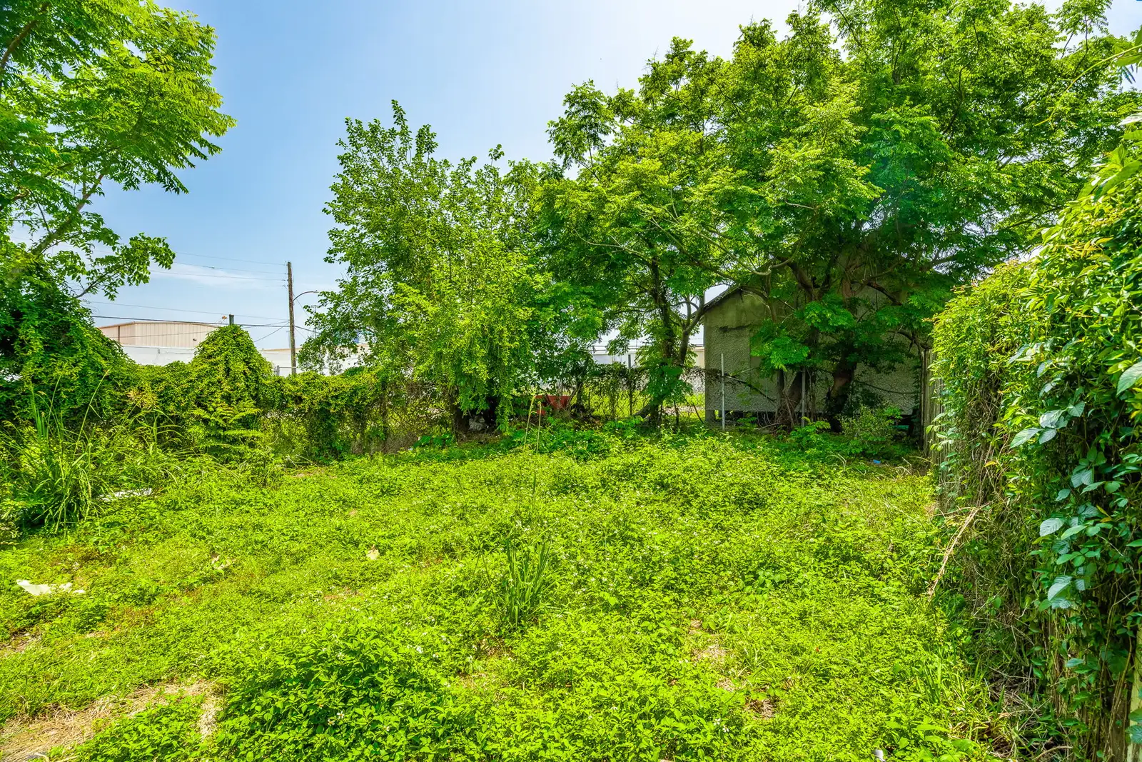 3958 Tchoupitoulas St image 16